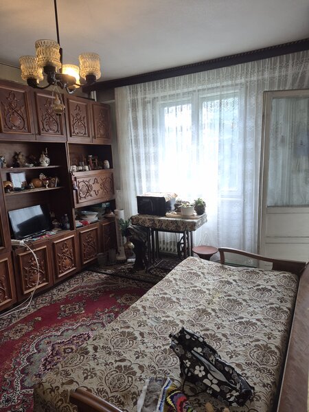 Salaj, Complex,